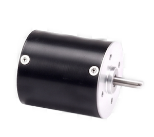 r36 moons bldc motor
